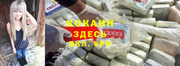молекула духа Алексеевка