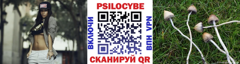 Галлюциногенные грибы GOLDEN TEACHER  Собинка 