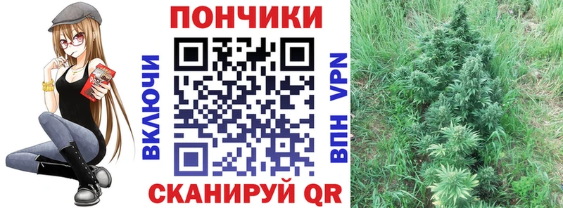 где найти наркотики Собинка hydra tor Бошки Шишки OG Kush